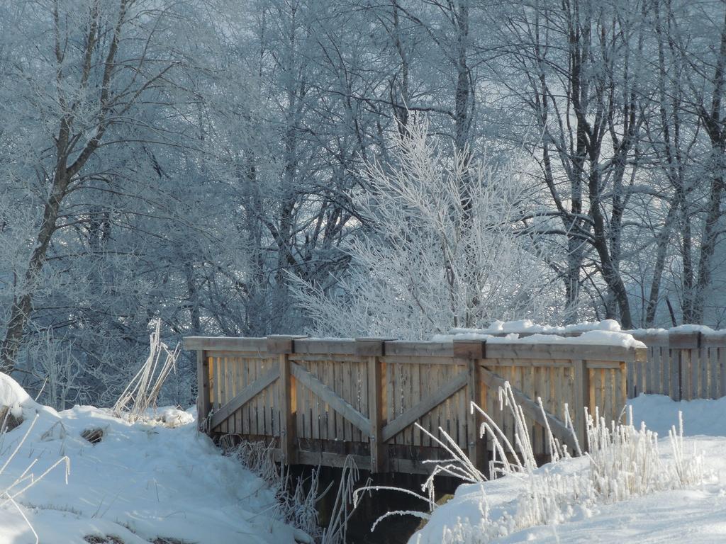 Haus Bergkranz Panzió Lermoos Kültér fotó